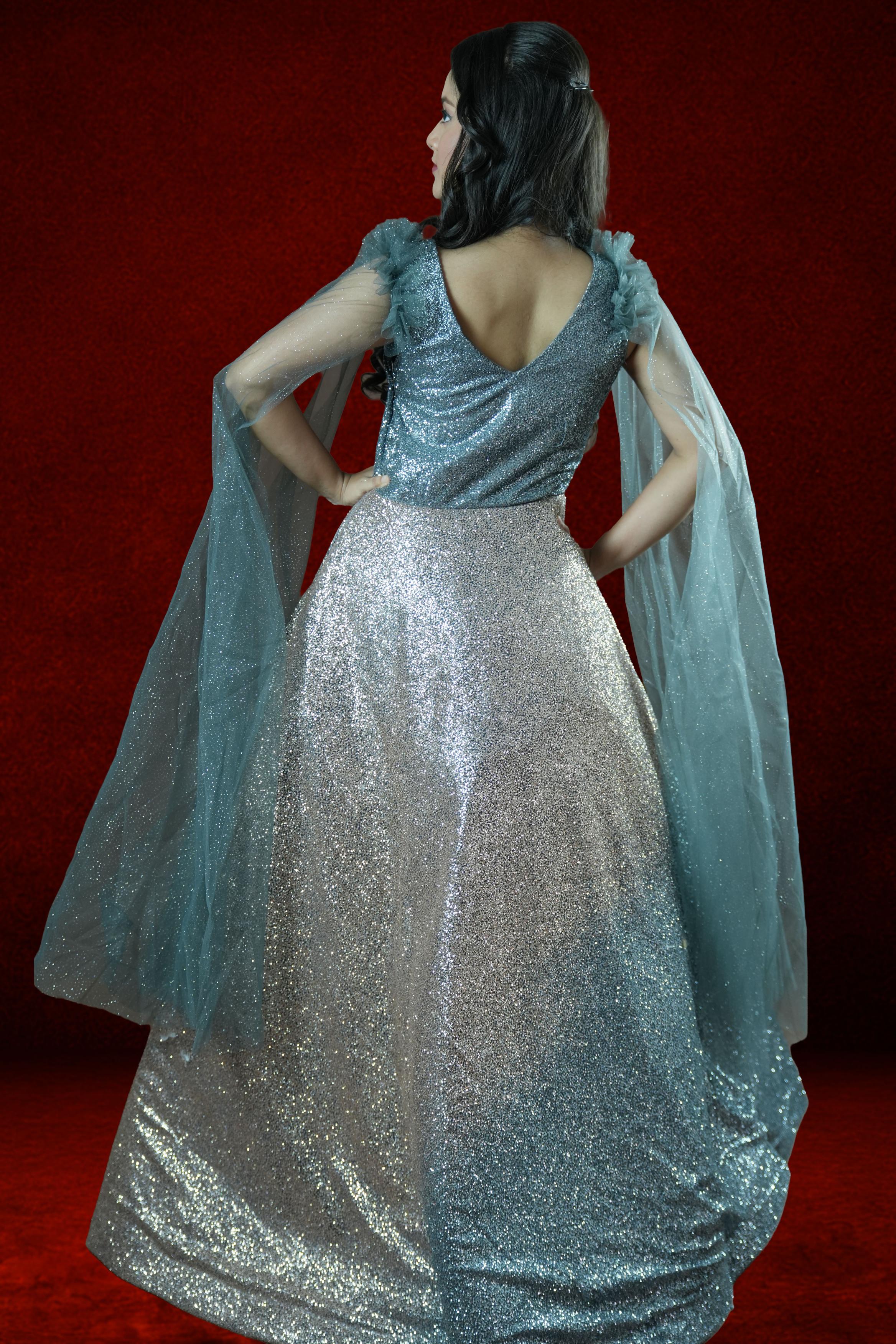 Silver & Blue Embellished Evening Gown