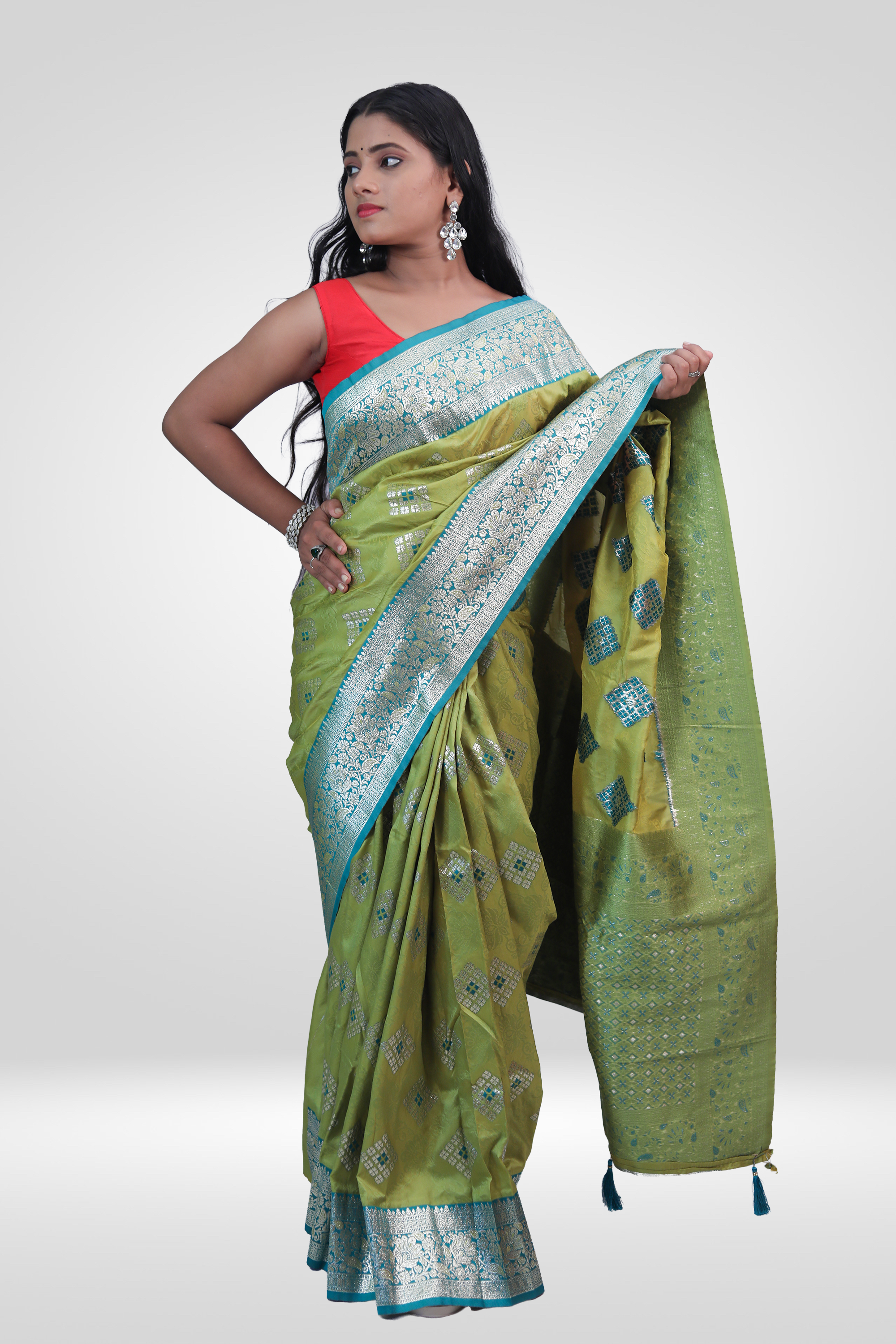 Mehendi Zari Banarasi Elegance