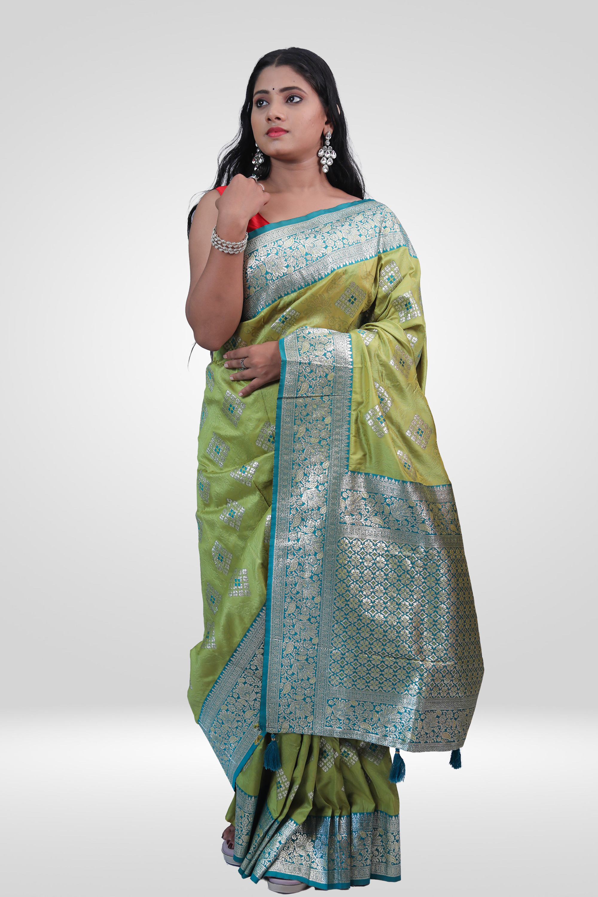 Mehendi Zari Banarasi Elegance