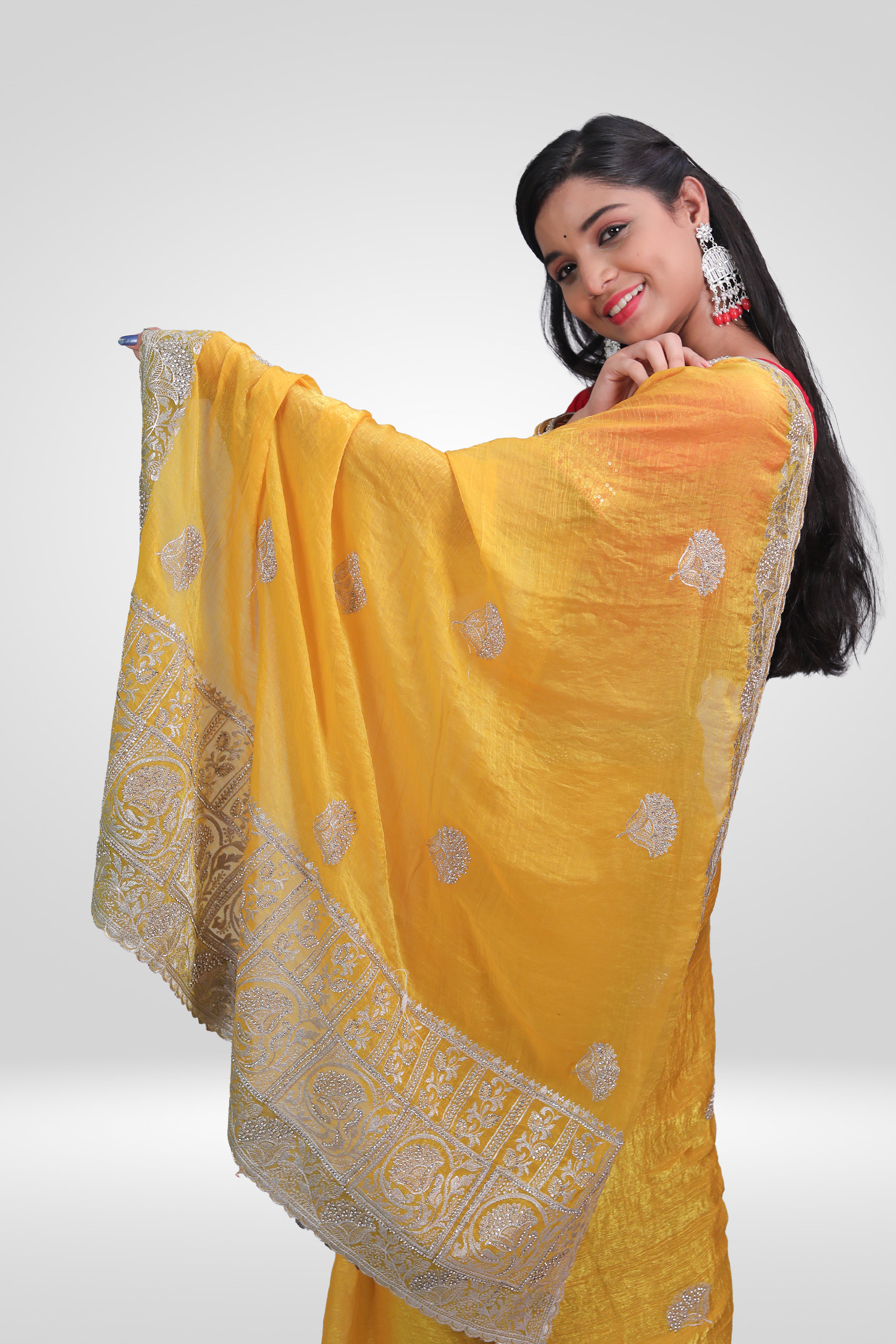 Sunheri Noor Handwork Saree